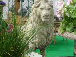 Messe Tulln am 27.03.2025